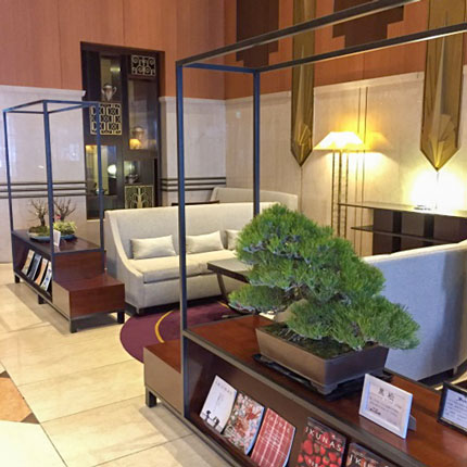ホテルでの盆栽展示