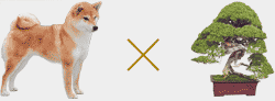 日本犬×盆栽