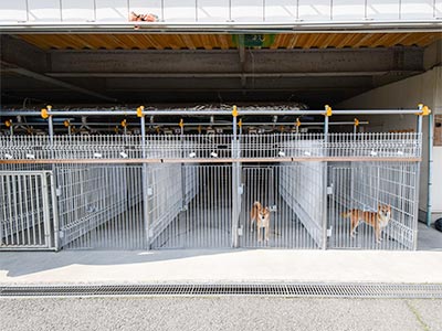 ケージ入り口より