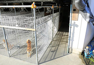 ケージの奥行き