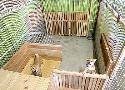 いくつかの小部屋に分けることができるケージ