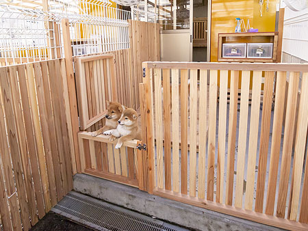 仔犬と母親のケージ