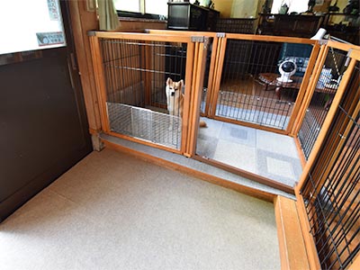 床にはカーペット