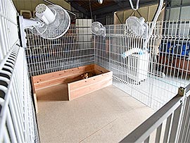 スポットクーラーとファン