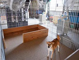 スポットクーラーとファン