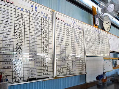 運動チェックボード