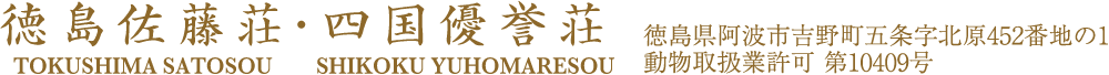 柴犬ブリーダー 徳島佐藤荘・四国優誉荘