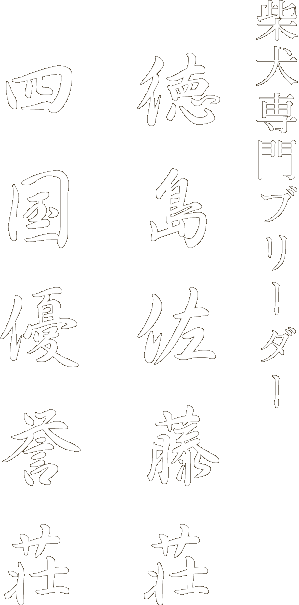 柴犬専門ブリーダー 徳島佐藤荘・四国優誉荘